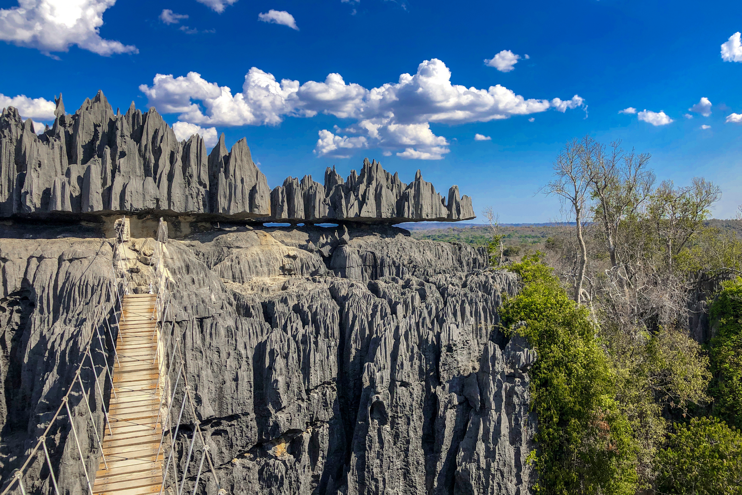 tsingy de bemaraha national park.webp